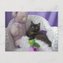 Search for flower kid postcards Animals