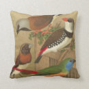 Search for perch Vintage