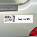 Search for chihuahua bumper stickers Dog