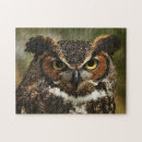 Search for owl puzzles Animals