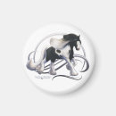 Search for gypsy vanner horse Irish cob