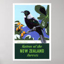 Search for new zealand native bird gifts Tui