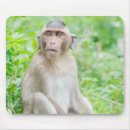 Search for cute monkey mousepads Wild