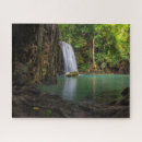 Search for rainforest puzzles Thailand