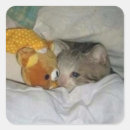 Search for sadness stickers Cat