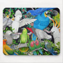 Search for parrot lover mousepads Parrots