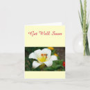 Search for get well photography Floral