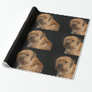 Search for borders gift wrap Wrapping
