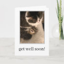 Search for nurse get well cards Cats