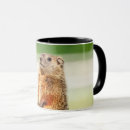 Search for groundhog mugs Woodchuck