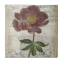 Search for french tiles Botanical