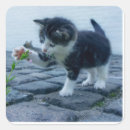 Search for playful kitten stickers Animal