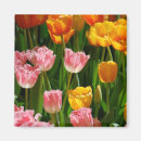 Search for pink tulip magnets Florist