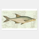 Search for river fish stickers Fishing