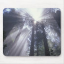 Search for two mousepads Tree