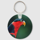 Search for aviary accessories Wildlife