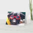 Search for non profit cards Dog
