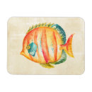 Search for fish magnets Aquarium