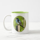 Search for swallow kitchen dining Nature