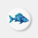 Search for fins magnets Fish