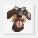 Search for dachshund magnets Wirehaired