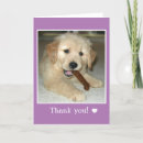 Search for golden retriever thank you cards Thanks