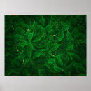 Search for piles posters Green