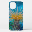 Search for sea creatures iphone cases Water