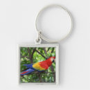 Search for multi coloured key rings Wildlife