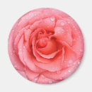 Search for water drop magnets Flower