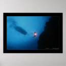 Search for view from below Diver