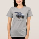 Search for flying pig Humour