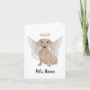 Search for dachshund angel postcards Sympathy