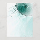 Search for fertilisation postcards Sperm