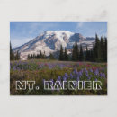 Search for mount rainier national park postcards Danita delimont