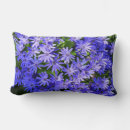 Search for daisy cushions Photography
