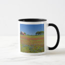 Search for texas hill country mugs Tree