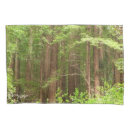 Search for wood pillowcases Nature