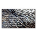 Search for turkey business cards Nature