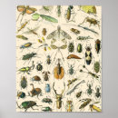 Search for chart art Biology