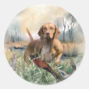 Search for vizsla gear stickers Hungarian pointer