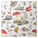 Search for fairy tiles Woodland