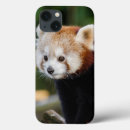 Search for panda bears iphone cases Animal