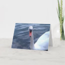 Search for gazing cards Nature