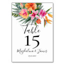 Search for orange watercolor table cards Colourful