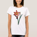 Search for amaryllis tshirts Pierre