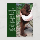 Search for animal quotes postcards Wildlife