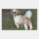 Search for shih tzu stickers Cute