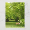 Search for famous places postcards Vertical