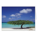 Search for aruba vacation postcards Coast
